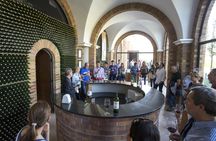 Wine cellar visit and tasting with lunch included  in La Rioja
