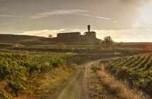 Two wine cellars visit and tasting in La Rioja