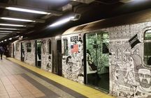 Neighborhoods of New York tour: Brooklyn, Bronx, Harlem, Queens and Coney Island
