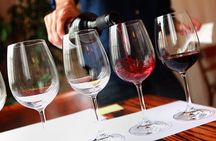 Pisa Guided Tour with Wine Tasting and Optional Leaning Tower Tickets
