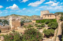 Alhambra, Generalife and Nasrid palaces skip-the-line guided tour