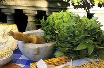 Pesto cooking class in Levanto