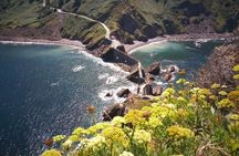 Skip-the-line tickets to Bilbao Guggenheim Museum and San Juan de Gaztelugatxe tour from San Sebastián