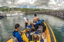 Azores Swim with Dolphins Atlantic Experience