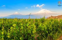 Khor Virap, Areni Cave, Noravank and Areni Winery Group Tour