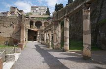 Herculaneum private and personalized tour with a local guide