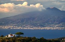 Tour of Pompeii and Mount Vesuvius from Naples