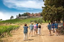 Tuscan day trip from Rome with lunch and wine tasting included