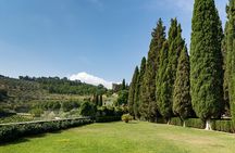 Tuscan day trip from Rome with lunch and wine tasting included