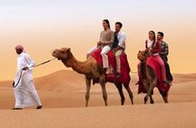 Dubai desert adventure with buggy, dune bashing and camel ride
