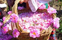 Tour of Karlovo in Bulgaria's Rose Valley