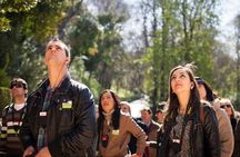 Alhambra private tour