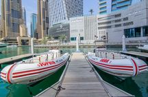 Visions of Dubai city tour with cruise and Dubai Frame