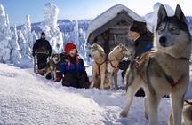 Day Trip to Ranua Zoo With Husky Farm and Reindeer Farm Visit
