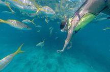 Key West afternoon reef snorkel