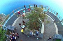 Madeira nature & wine tasting experience in open roof 4x4 tour