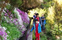 Rabaçal levada walk and open roof 4x4 tour
