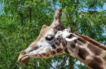 Terra Natura Theme Park in Murcia Entrance Ticket