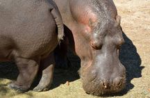 Terra Natura Theme Park in Murcia Entrance Ticket