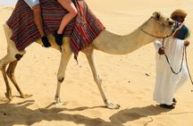 Abu Dhabi morning desert safari with camel ride
