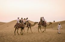 Abu Dhabi desert safari with BBQ, camel ride and sandboarding