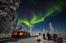 Night of reindeer and northern lights