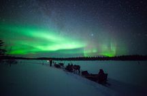 Reindeer Sami experience and northern lights