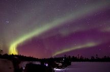Reindeer Sami experience and northern lights