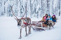 Reindeer farm experience