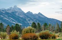Yellowstone Lower Loop full-day tour