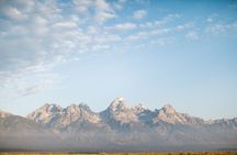 Yellowstone Lower Loop full-day tour