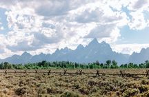 Winter and spring wildlife sunset safari from Jackson Hole