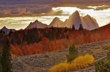 Summer and fall wildlife sunset safari from Jackson Hole