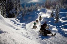 Snowmobiles and huskies in Lapland