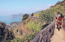 VIP small-group Cinque Terre discovery and vineyard escape