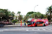 Hop-On Hop-Off Las Palmas de Gran Canaria 24hr Bus