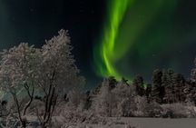 Hunting Northern Lights with Lappish Barbecue