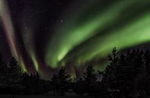 Hunting Northern Lights with Lappish Barbecue