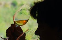 Sensorial wine tasting with AIS sommelier