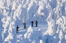 Lapland cross-country ski experience