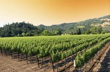 Sonoma and Napa Valley wine tour from San Francisco