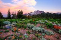 Yosemite tour from San Francisco