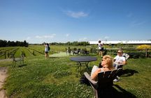 Hamptons and outlet shopping day trip from NYC