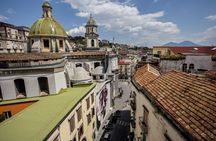 Naples City Sightseeing from Rome by high-speed train