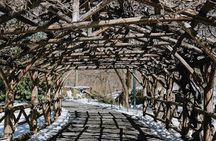 Private and Semi-Private Central Park walking tour