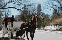 Private and Semi-Private Central Park walking tour