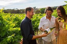 Temecula wine tour
