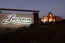 Temecula wine tour