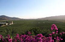 Baja wine tour
