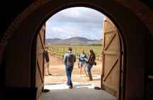 Baja wine tour